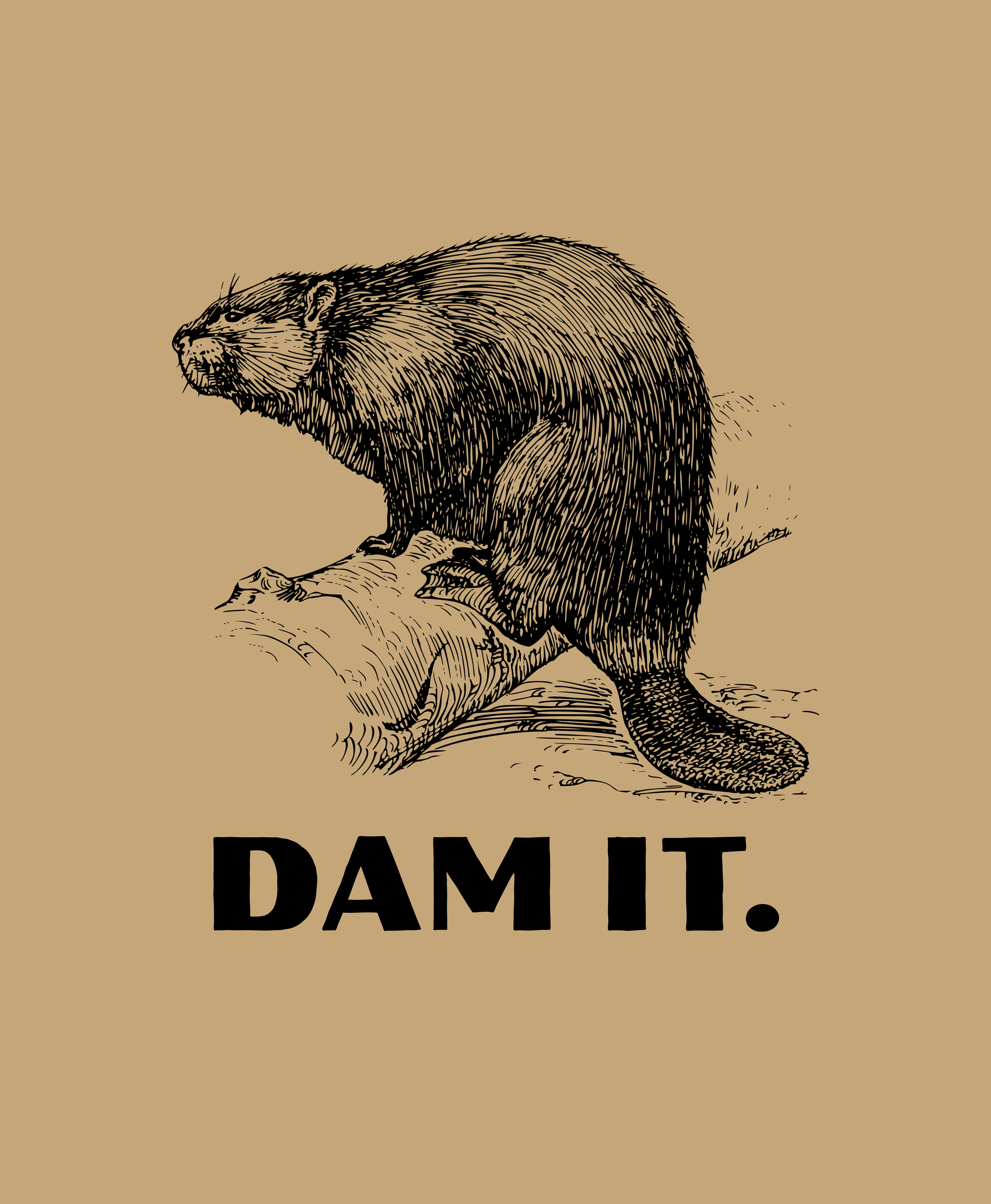 Dam It