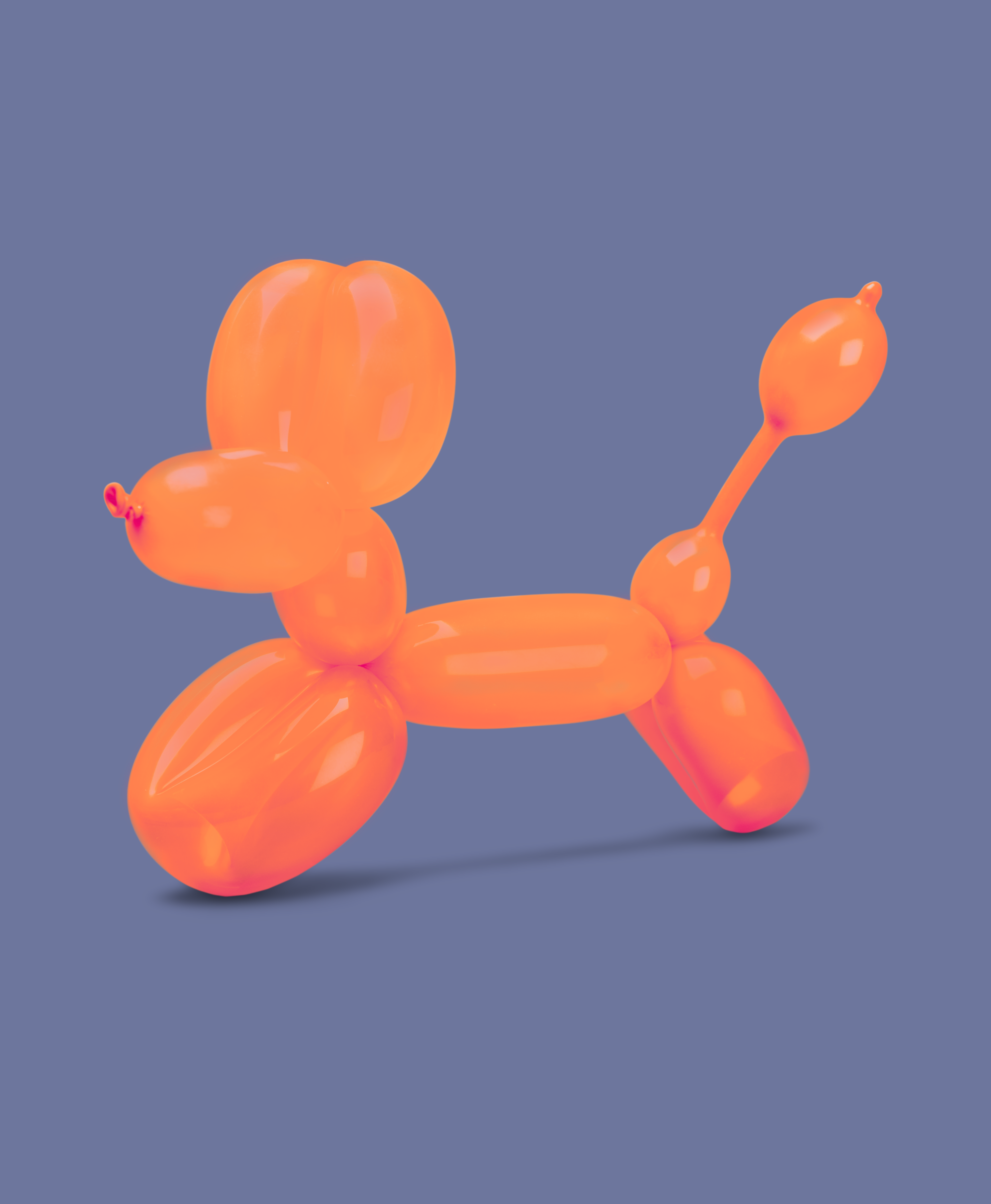 Balloon Dog